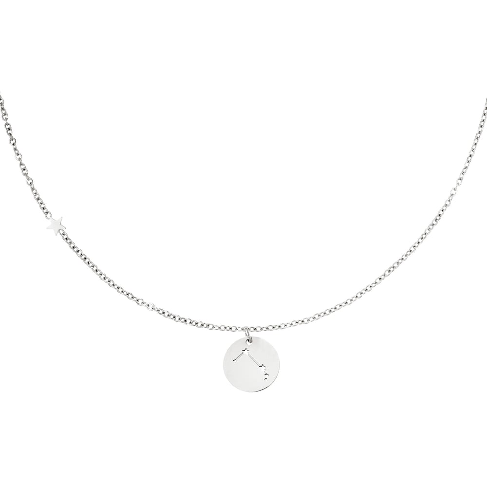 Collier signe du zodiaque Bélier Argenté Acier inoxydable h5Image5